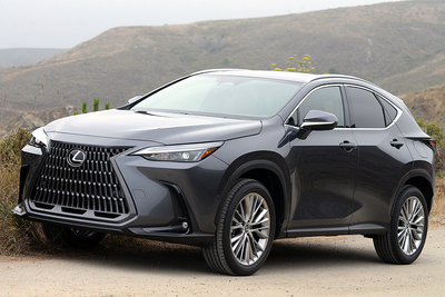 PHOTO (select to view enlarged photo)