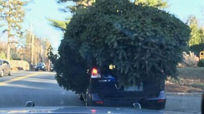 PHOTO (select to view enlarged photo)