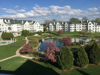 PHOTO (select to view enlarged photo)