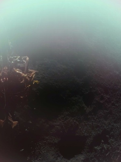 PHOTO (select to view enlarged photo)