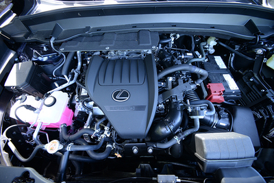 PHOTO (select to view enlarged photo)