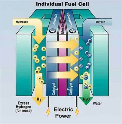 PHOTO (select to view enlarged photo)