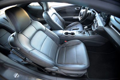 PHOTO (select to view enlarged photo)