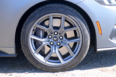 PHOTO (select to view enlarged photo)