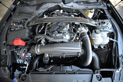 PHOTO (select to view enlarged photo)