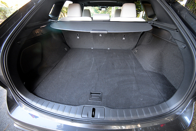 PHOTO (select to view enlarged photo)